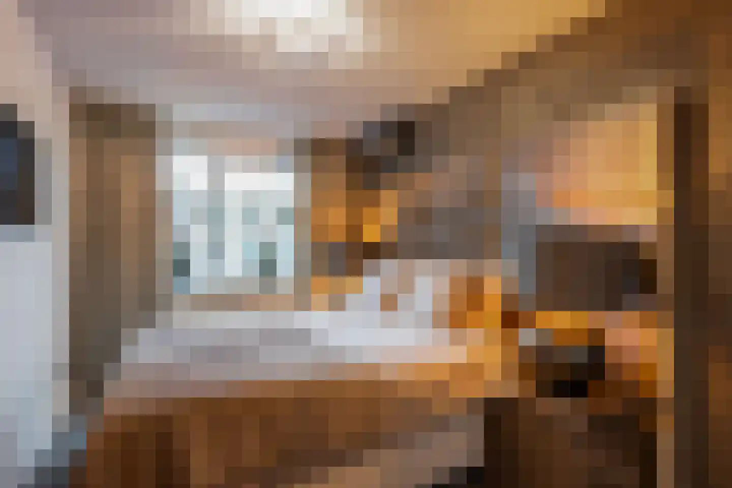 Das 20 's-Gravenzande thumbnail 15