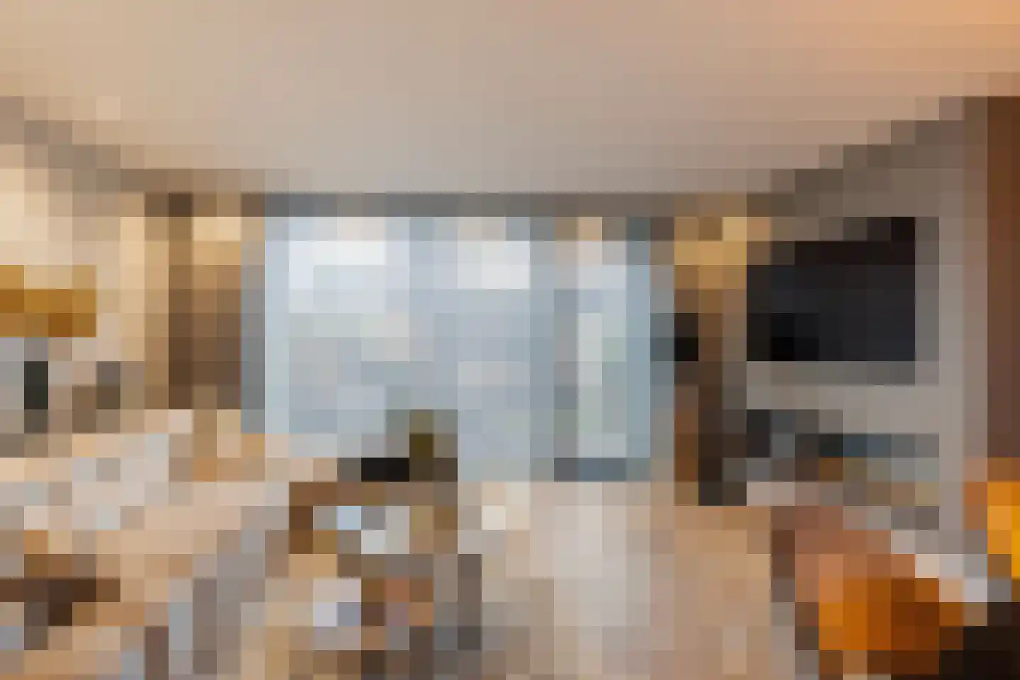 Das 20 's-Gravenzande thumbnail 5