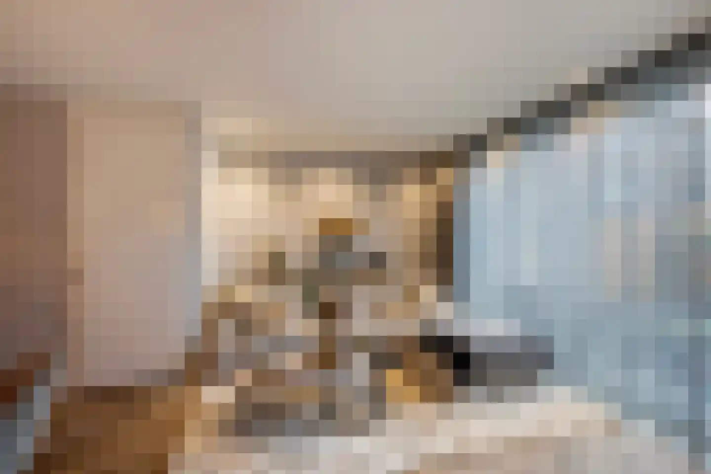 Das 20 's-Gravenzande thumbnail 6