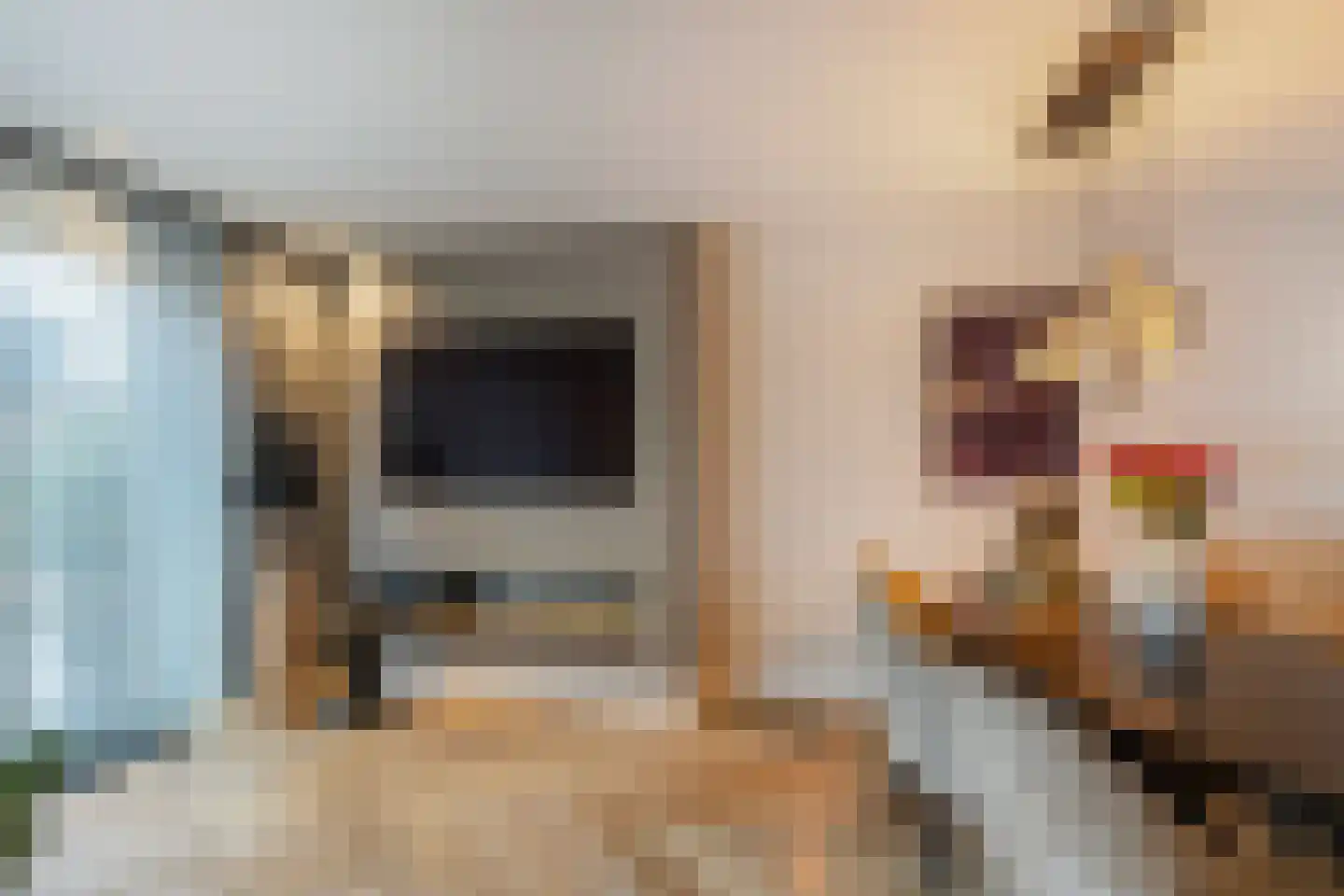Das 20 's-Gravenzande thumbnail 7
