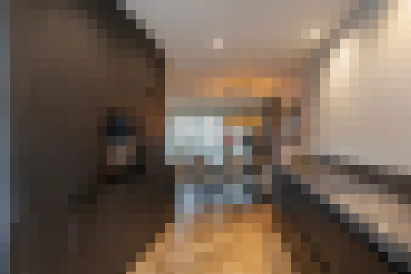 Das 20 's-Gravenzande thumbnail 9