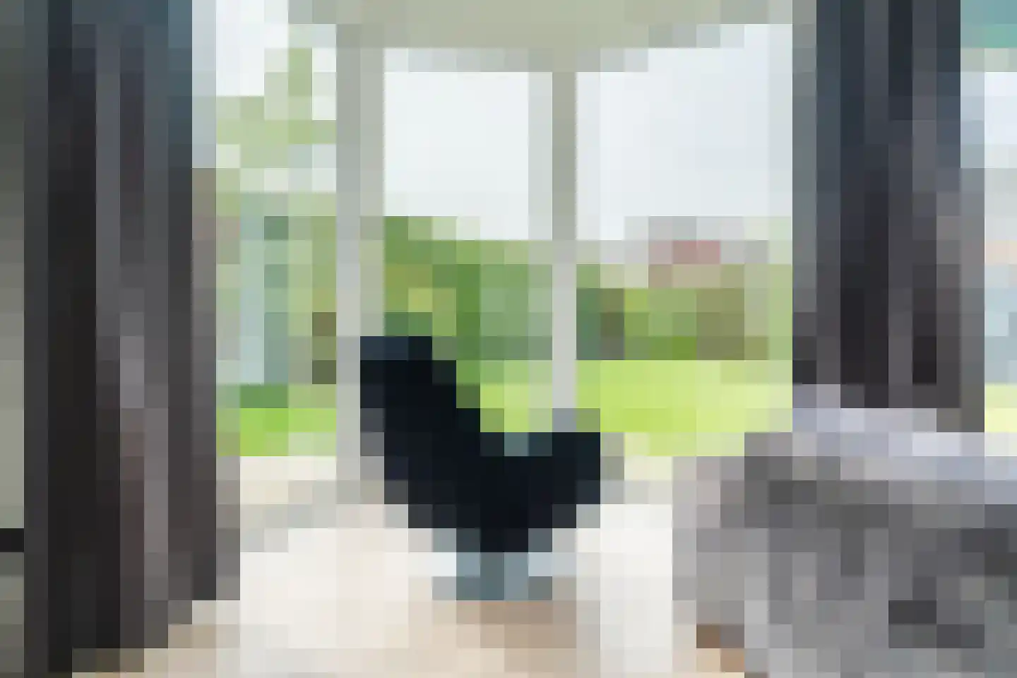 Das 7 Veldhoven thumbnail 13