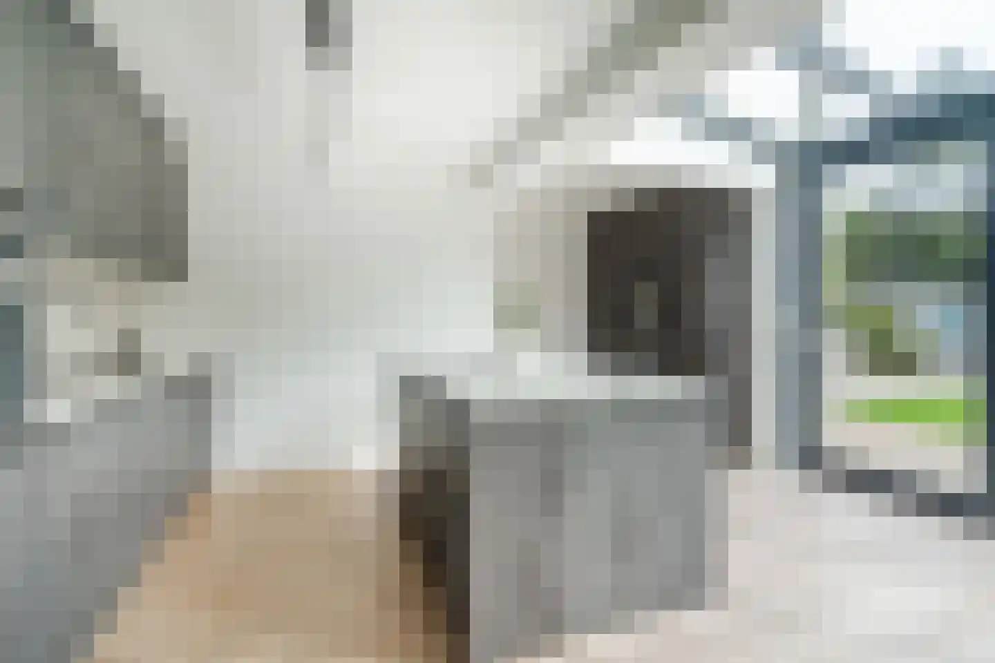 Das 7 Veldhoven thumbnail 19
