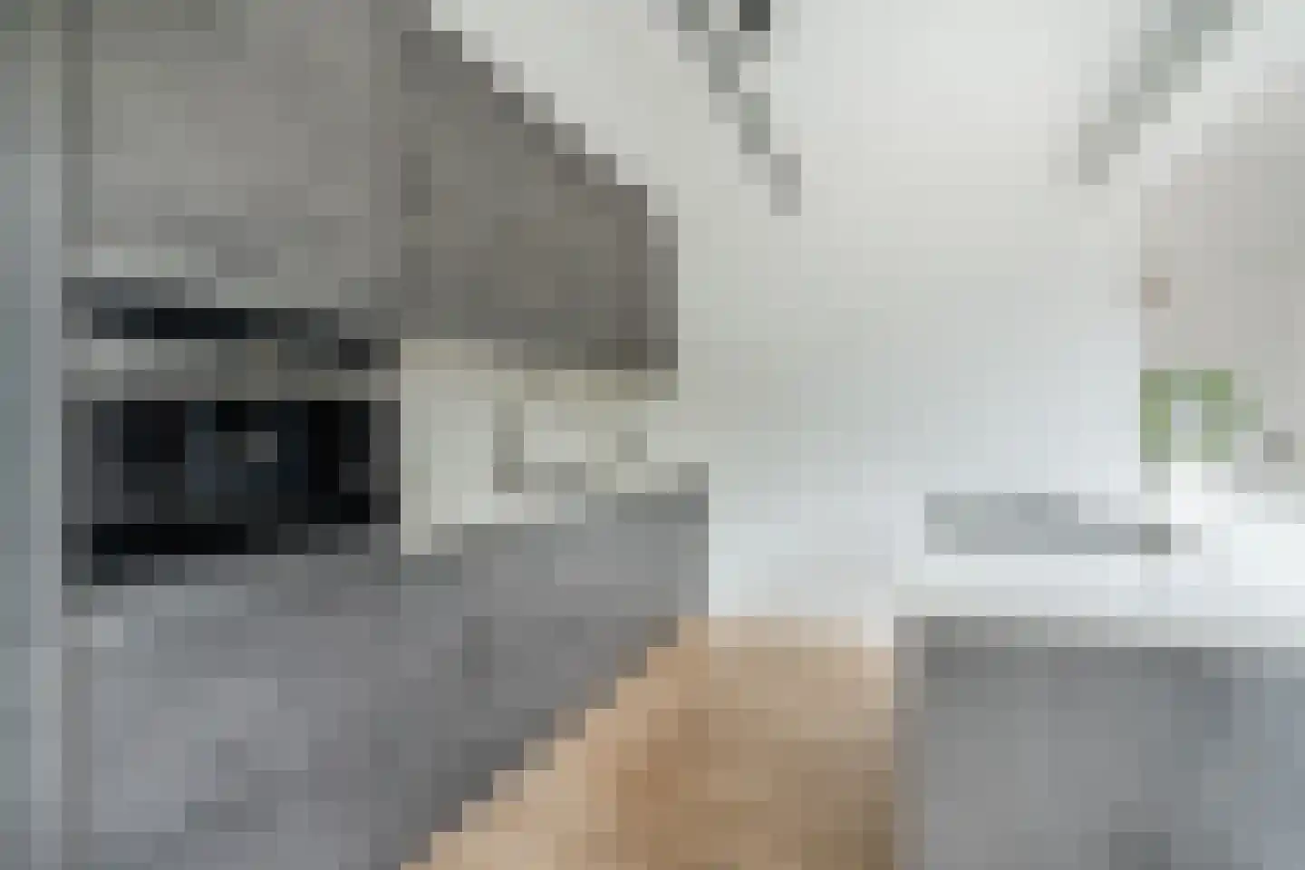 Das 7 Veldhoven thumbnail 20