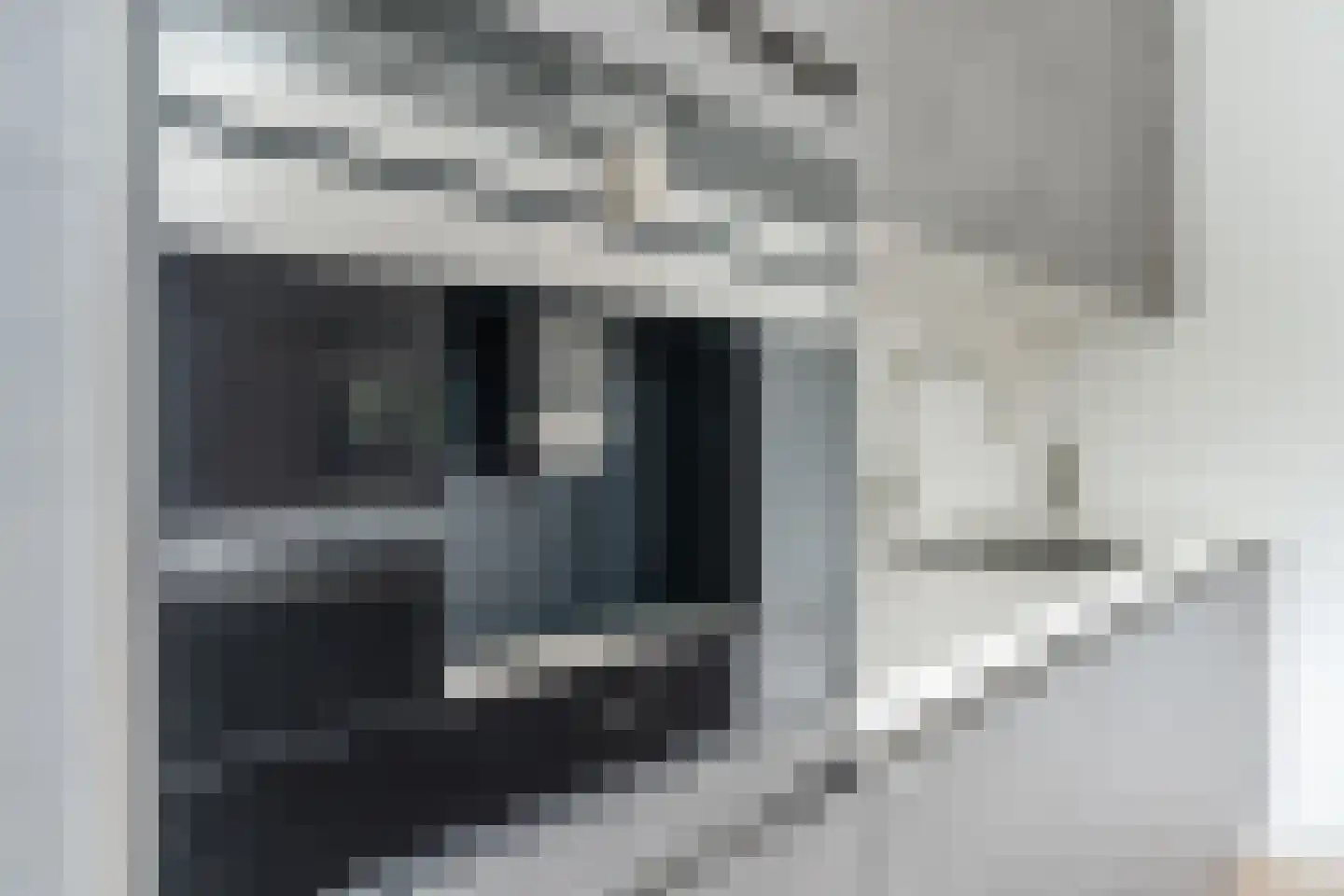 Das 7 Veldhoven thumbnail 23