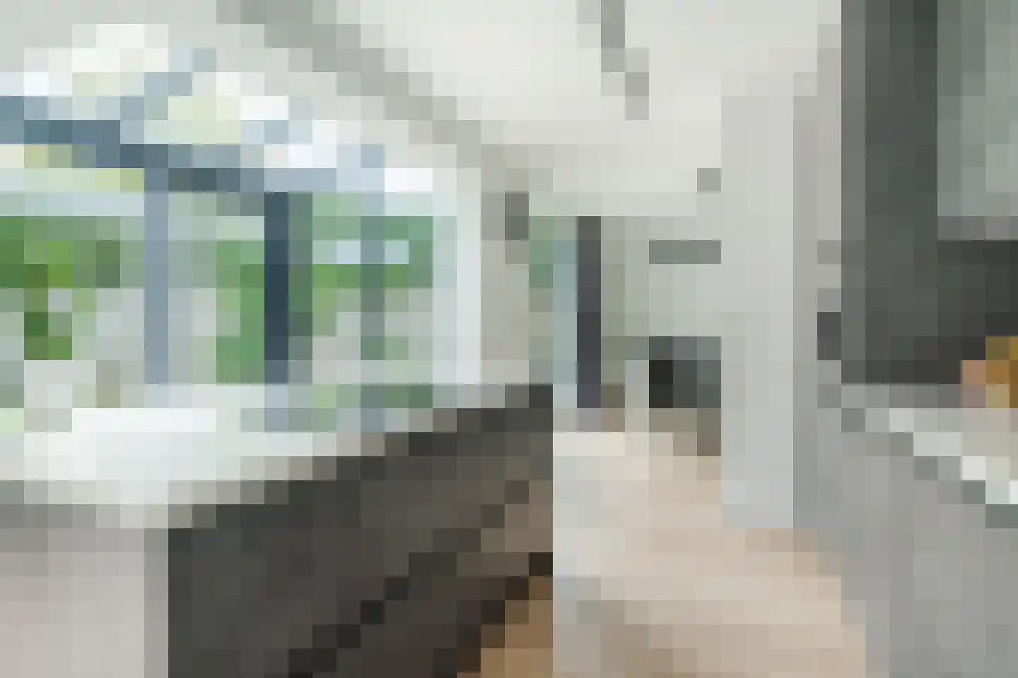 Das 7 Veldhoven thumbnail 25