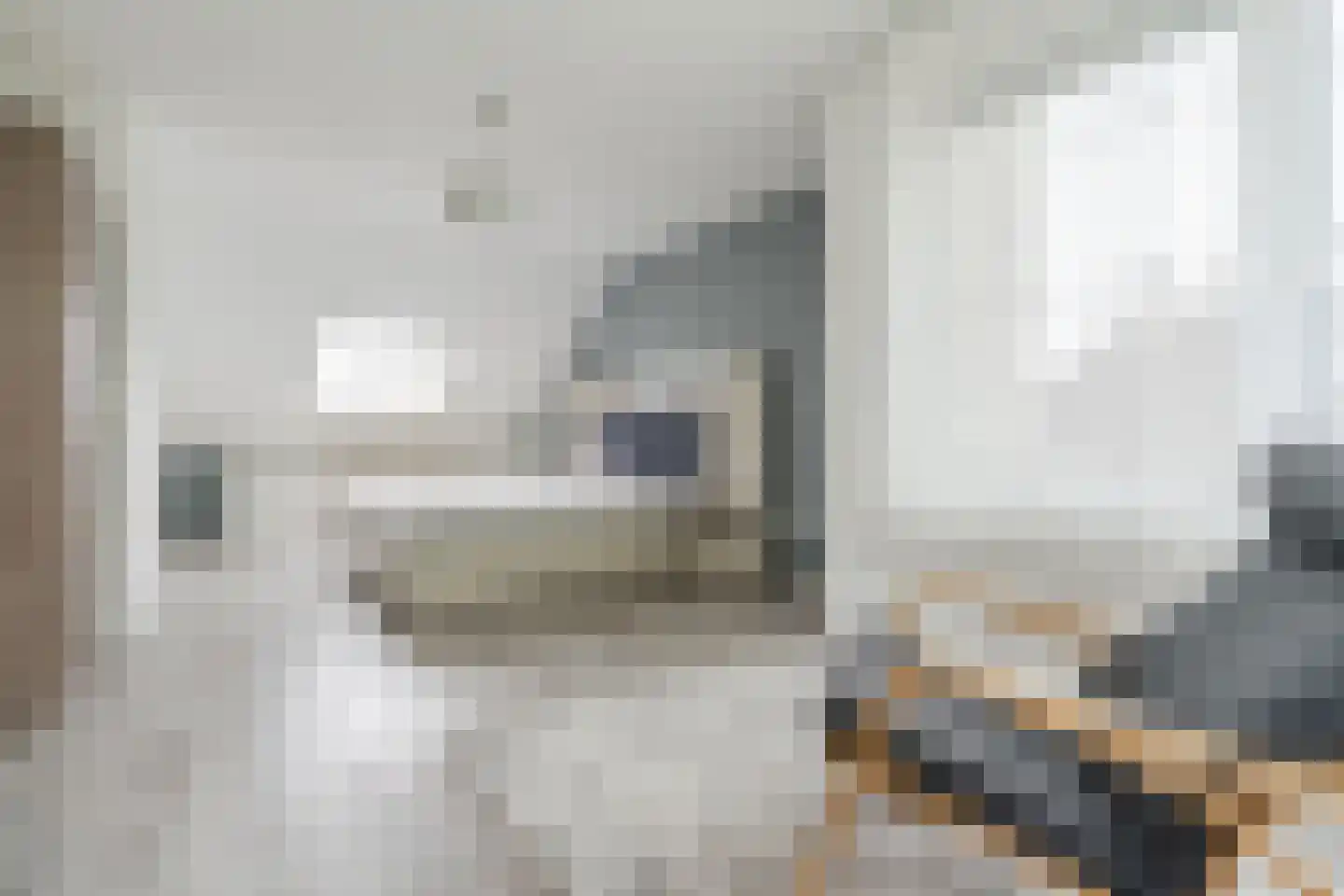 Das 7 Veldhoven thumbnail 33
