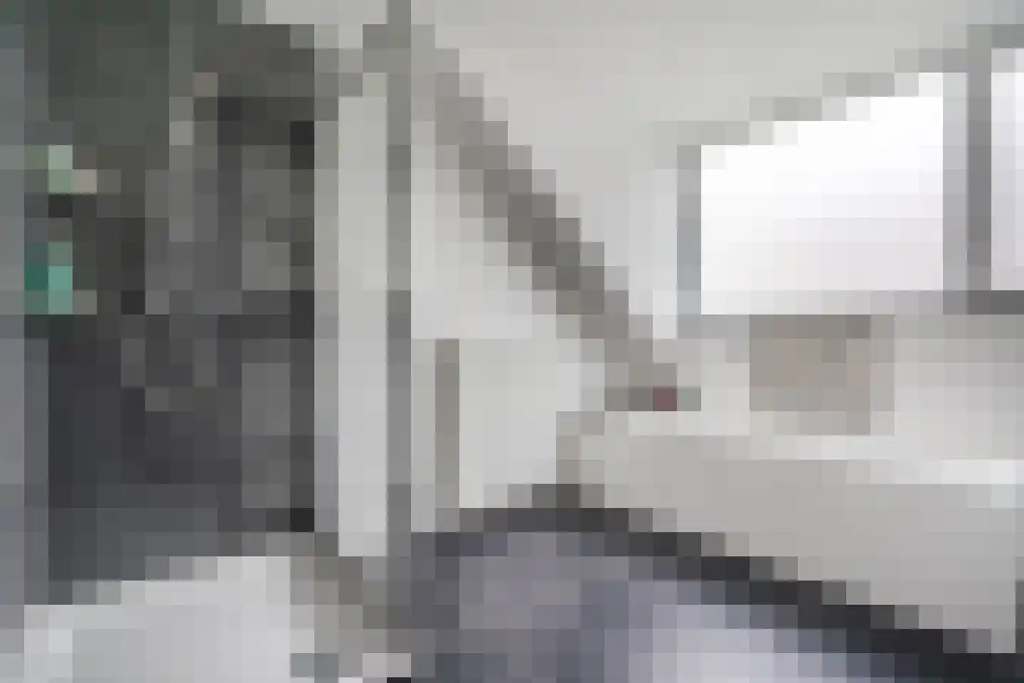 Das 7 Veldhoven thumbnail 42