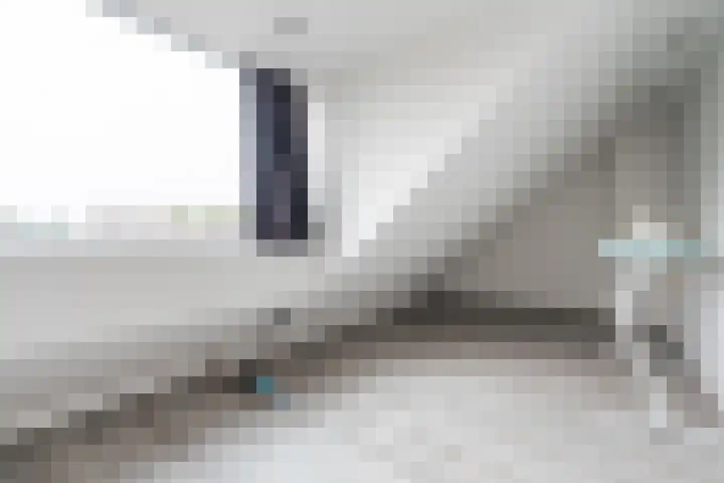 Das 7 Veldhoven thumbnail 47