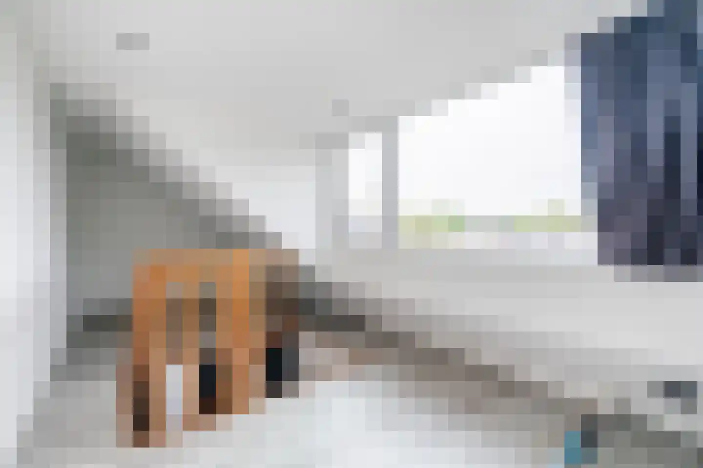 Das 7 Veldhoven thumbnail 48
