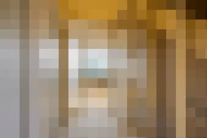 Dashorst 29 Leusden thumbnail 11