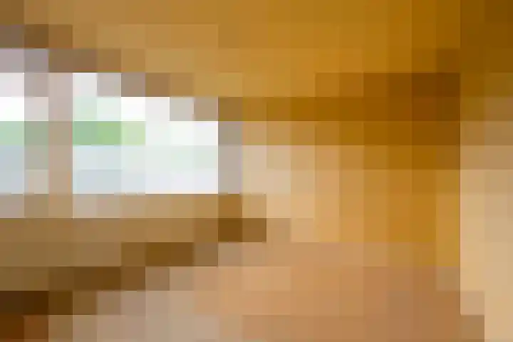 Dashorst 29 Leusden thumbnail 14