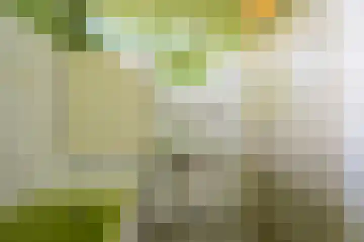 Dashorst 29 Leusden thumbnail 16