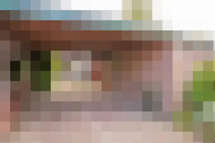 Dashorst 29 Leusden foto 2