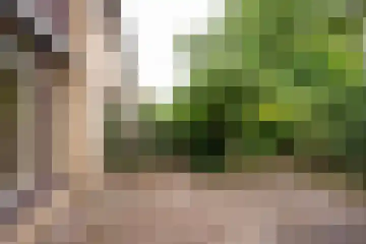 Dashorst 29 Leusden thumbnail 20