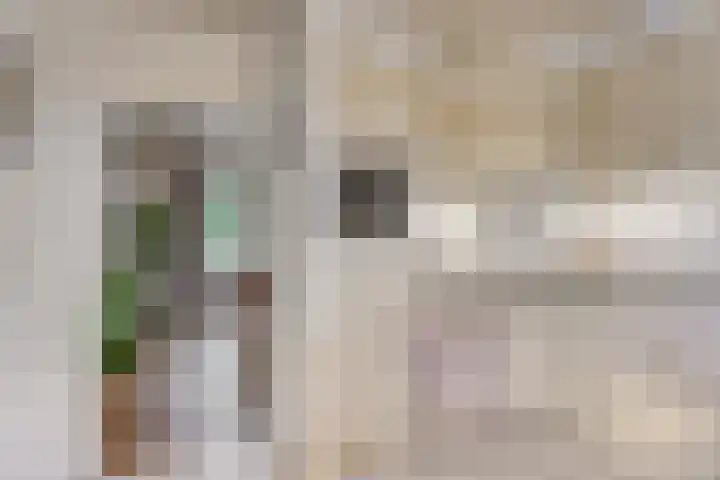 Dashorst 29 Leusden thumbnail 21