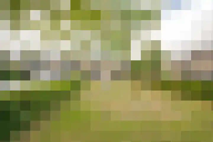 Dashorst 29 Leusden thumbnail 23