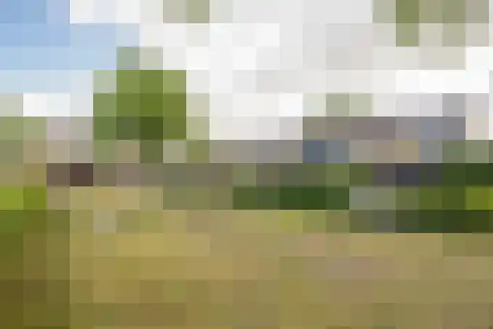 Dashorst 29 Leusden thumbnail 24