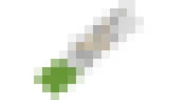 Dashorst 29 Leusden thumbnail 29