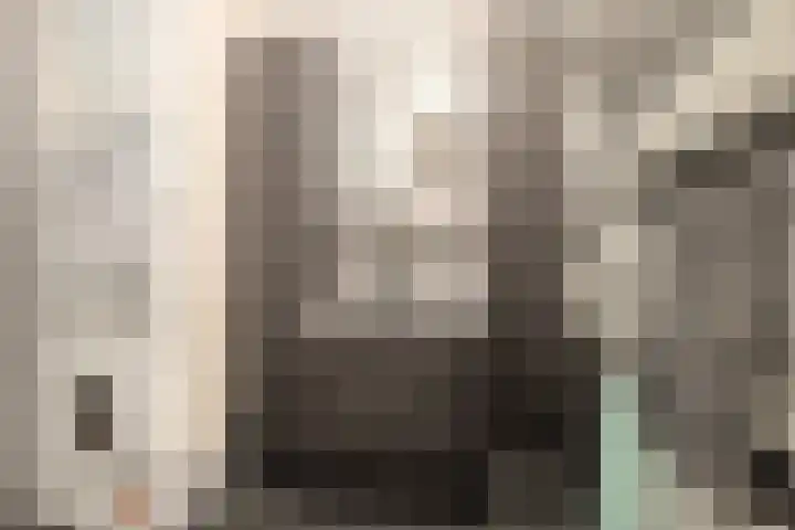 Dashorst 29 Leusden foto 3