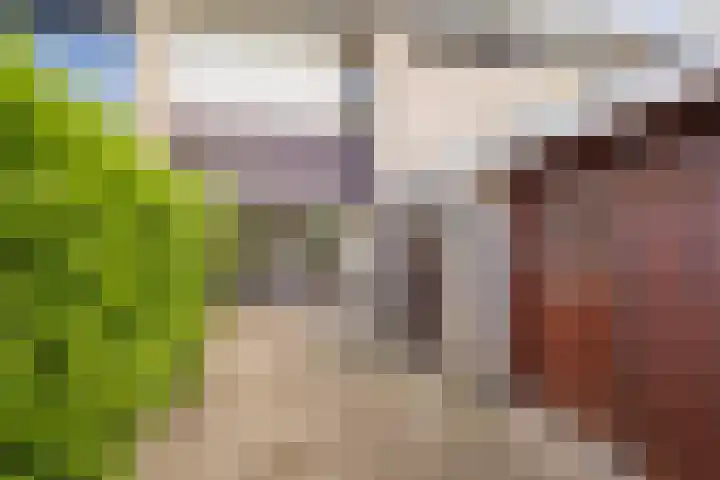 Dashorst 29 Leusden thumbnail 30