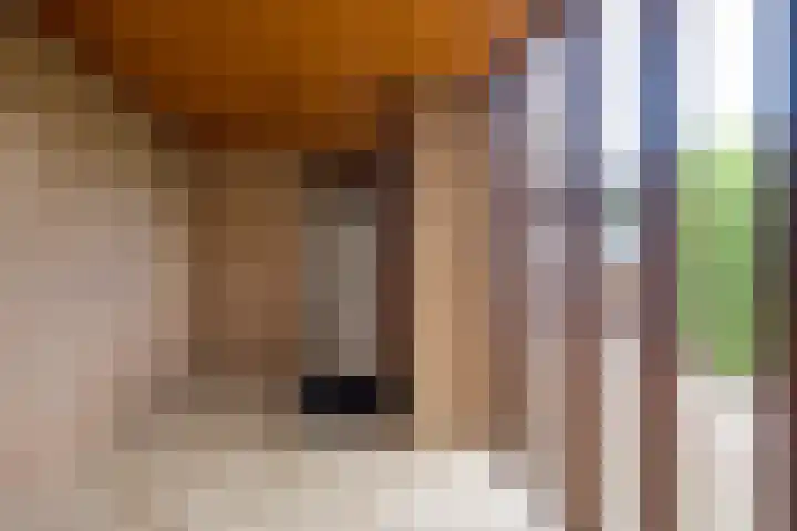 Dashorst 29 Leusden thumbnail 4