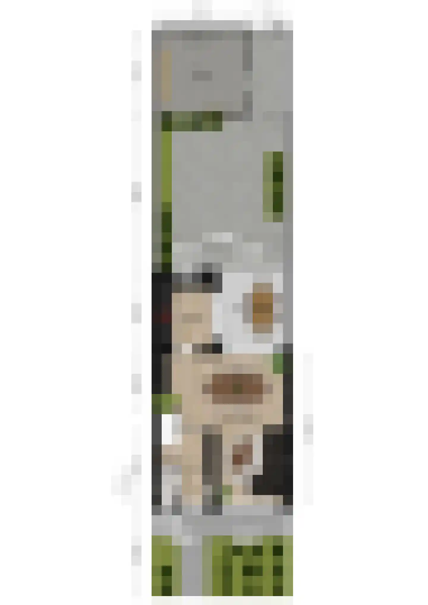 Daslaan 7 Waalre thumbnail 23