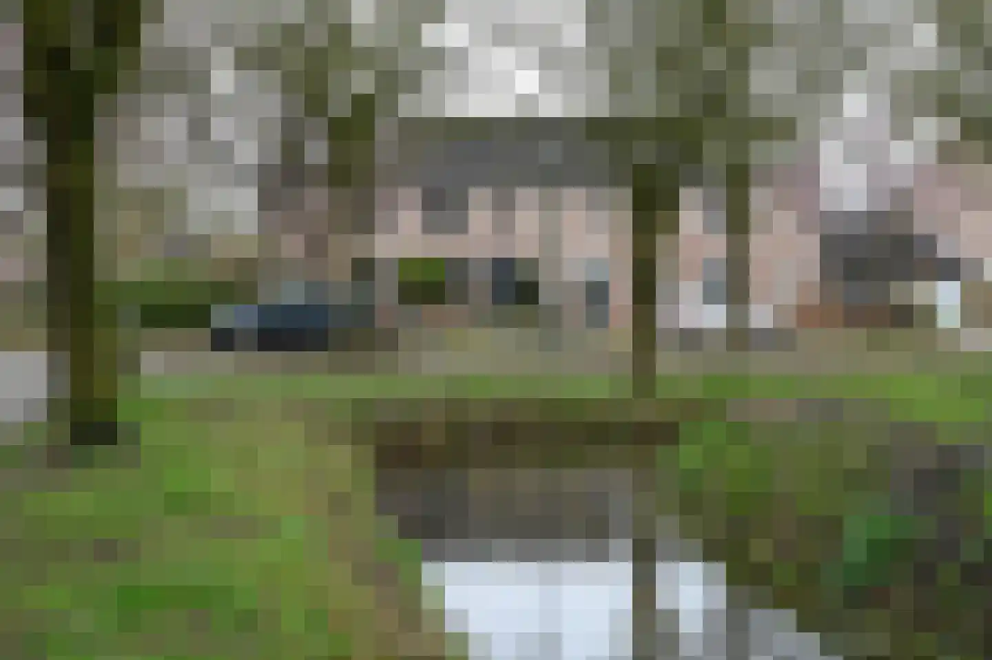 Daslook 2 in Breukelen