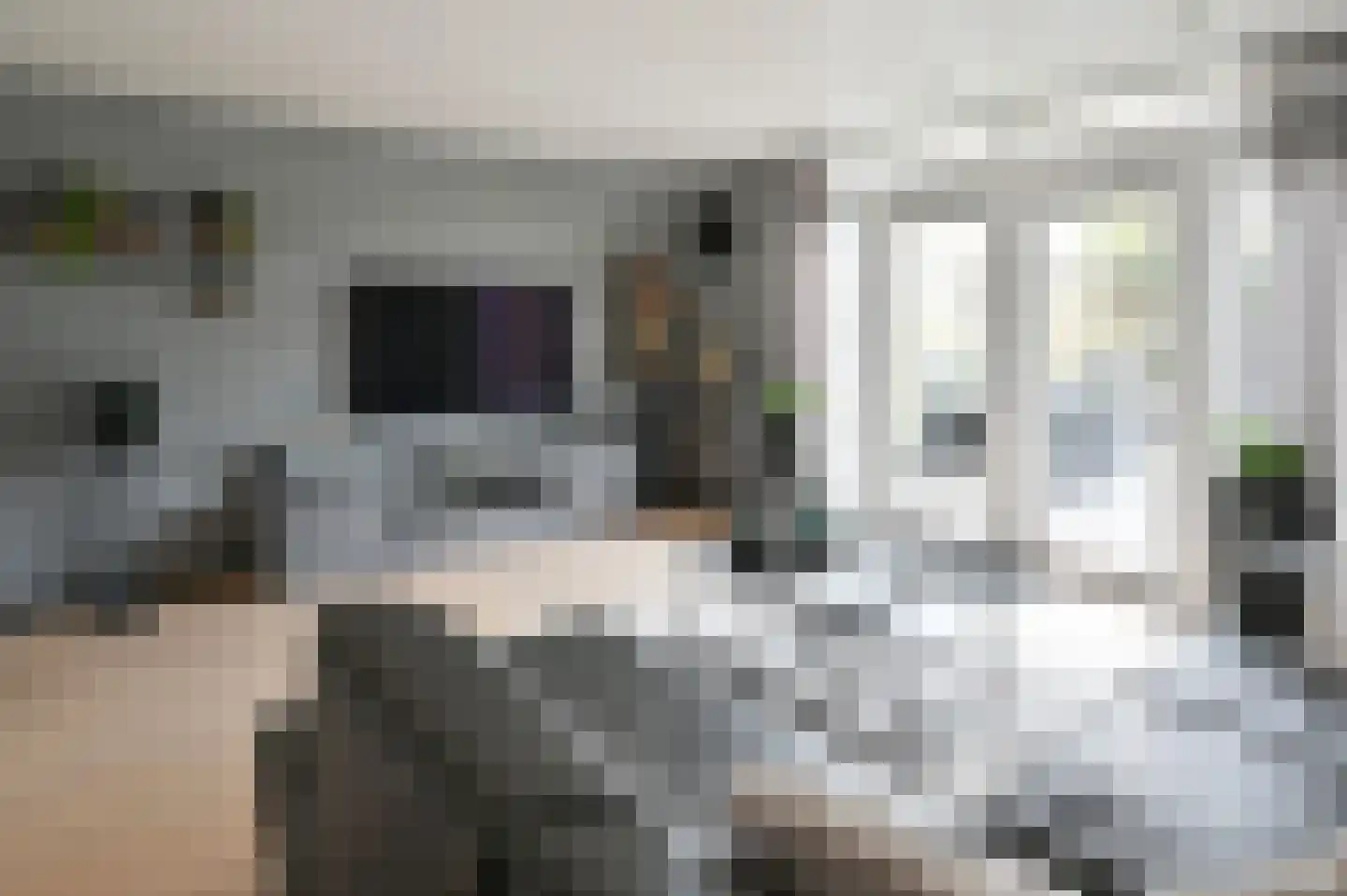 Daslook 2 Breukelen thumbnail 13