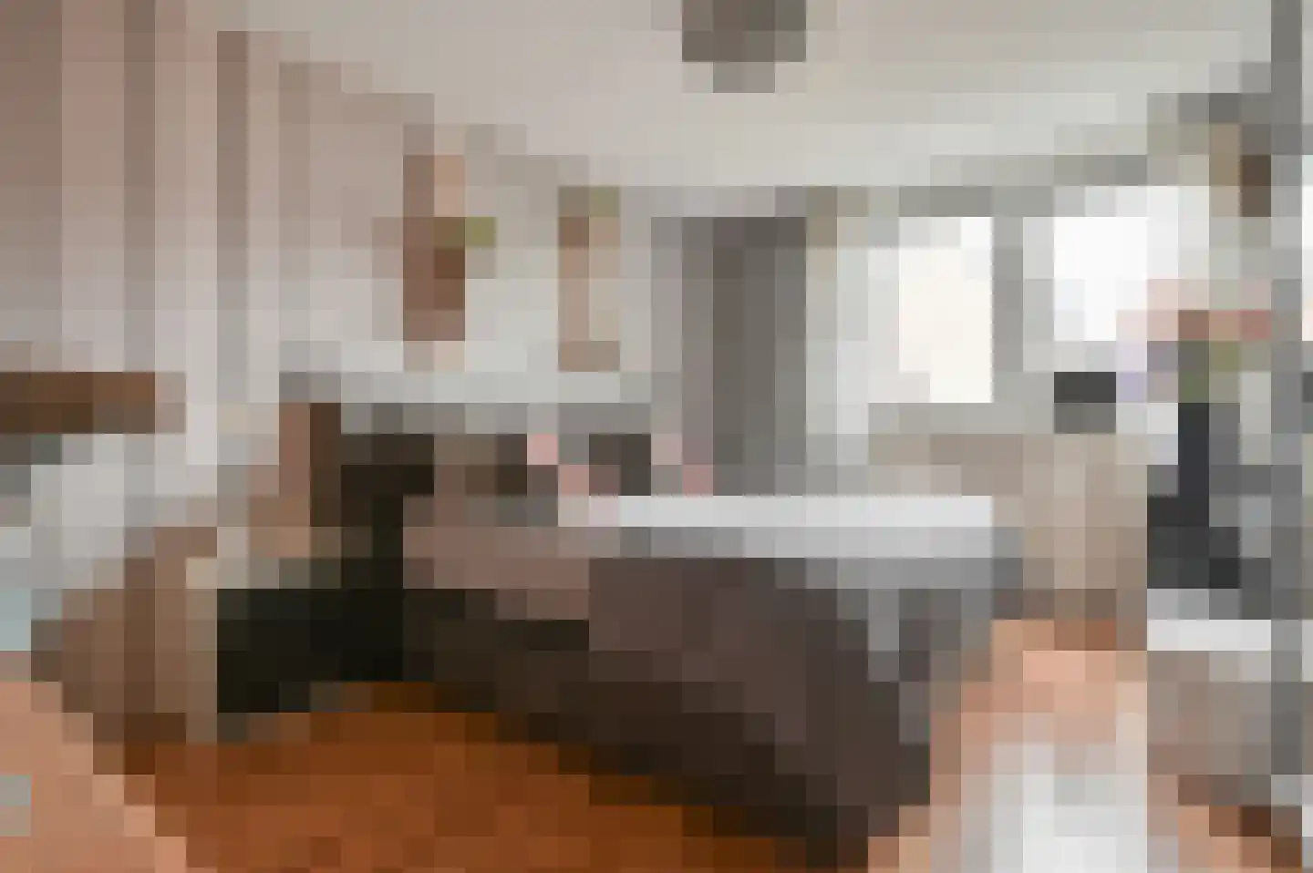 Daslook 2 Breukelen thumbnail 15