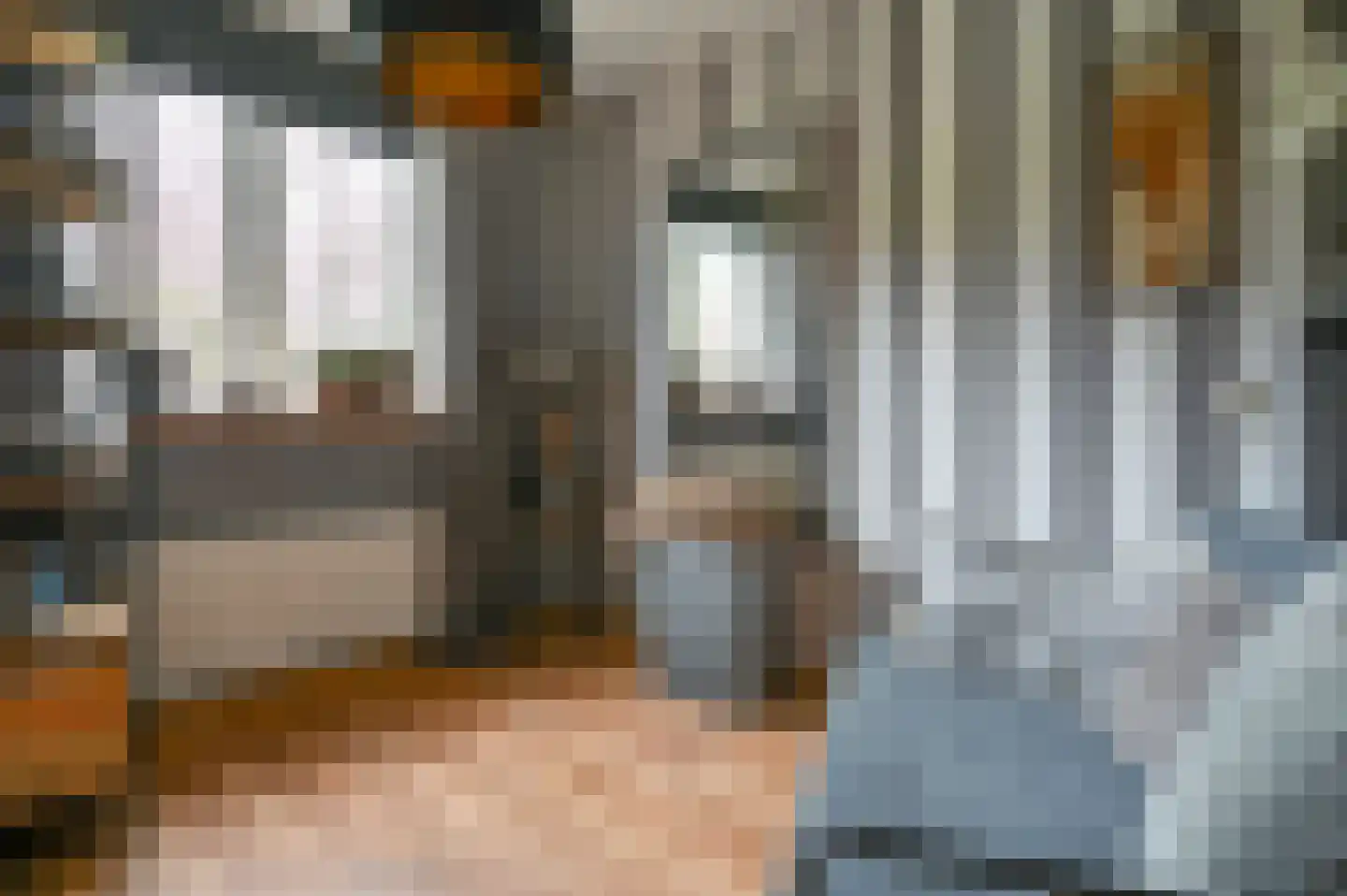 Daslook 2 Breukelen thumbnail 17