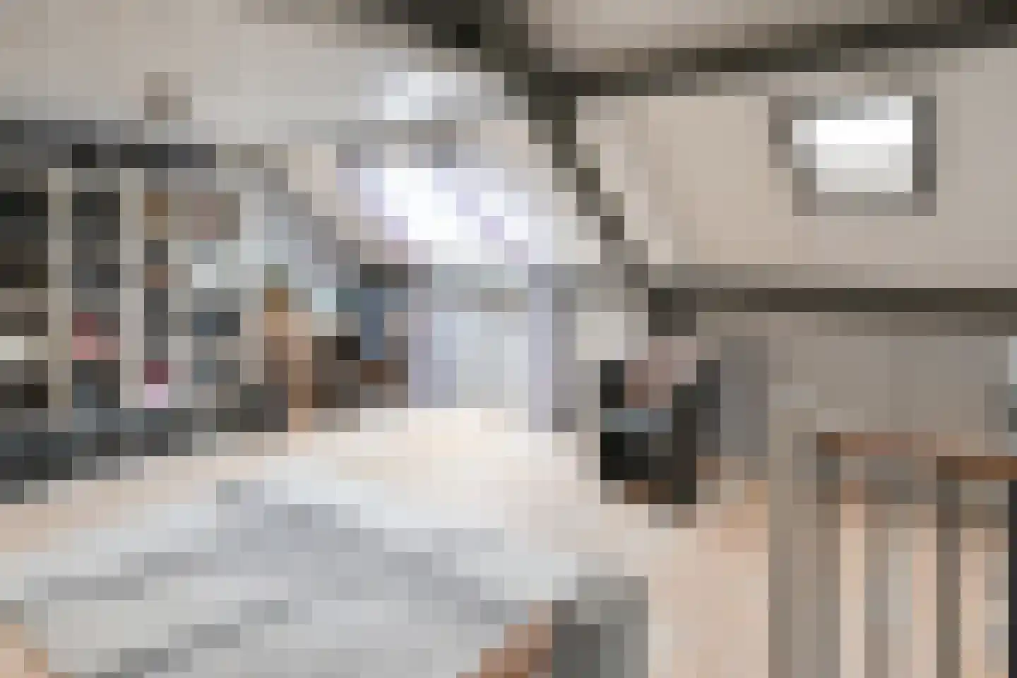 Daslook 2 Breukelen thumbnail 21