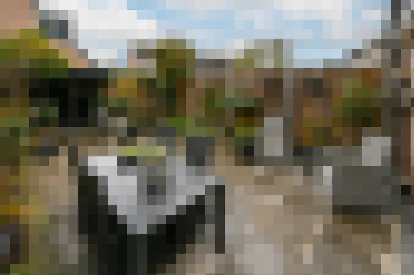 Daslook 2 Breukelen thumbnail 27