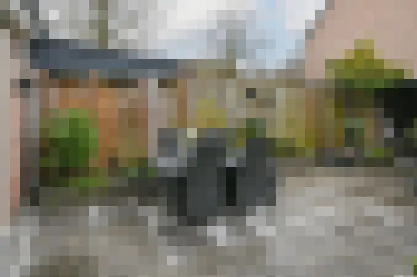 Daslook 2 Breukelen thumbnail 28