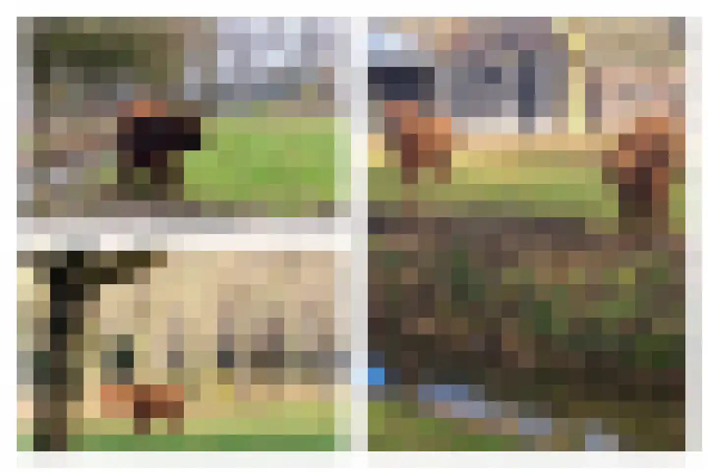 Daslook 2 Breukelen thumbnail 5