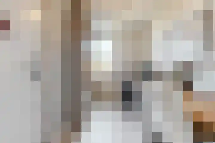 Daslook 20 Breukelen thumbnail 13