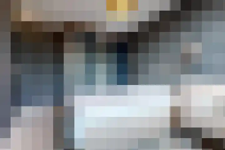 Daslook 20 Breukelen thumbnail 15