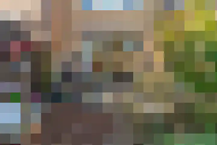 Daslook 20 Breukelen thumbnail 23