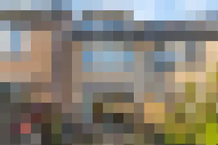 Daslook 20 Breukelen thumbnail 24
