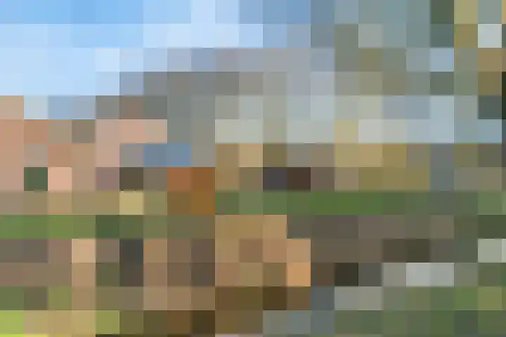 Daslook 20 Breukelen thumbnail 25