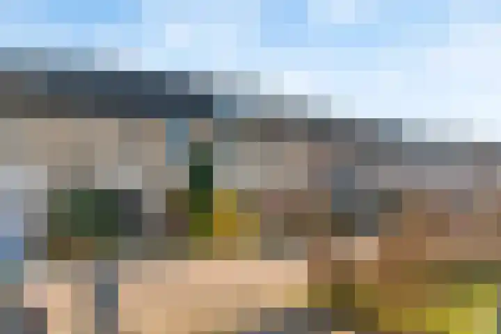 Daslook 20 Breukelen thumbnail 26