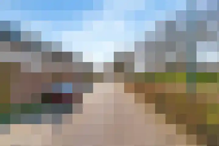Daslook 20 Breukelen thumbnail 27