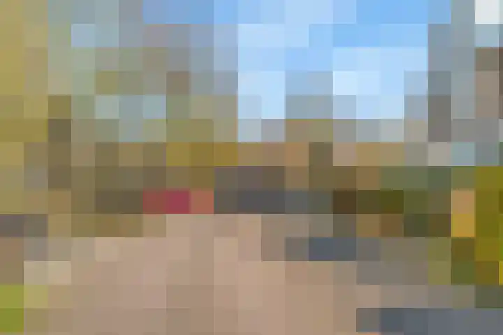 Daslook 20 Breukelen thumbnail 28