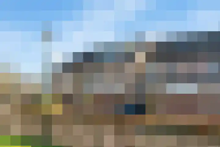 Daslook 20 Breukelen thumbnail 29