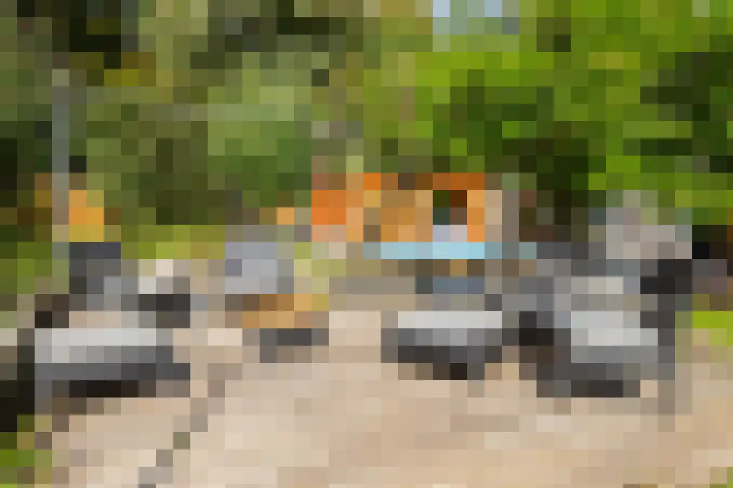 Daslook 29 Kerkrade thumbnail 27
