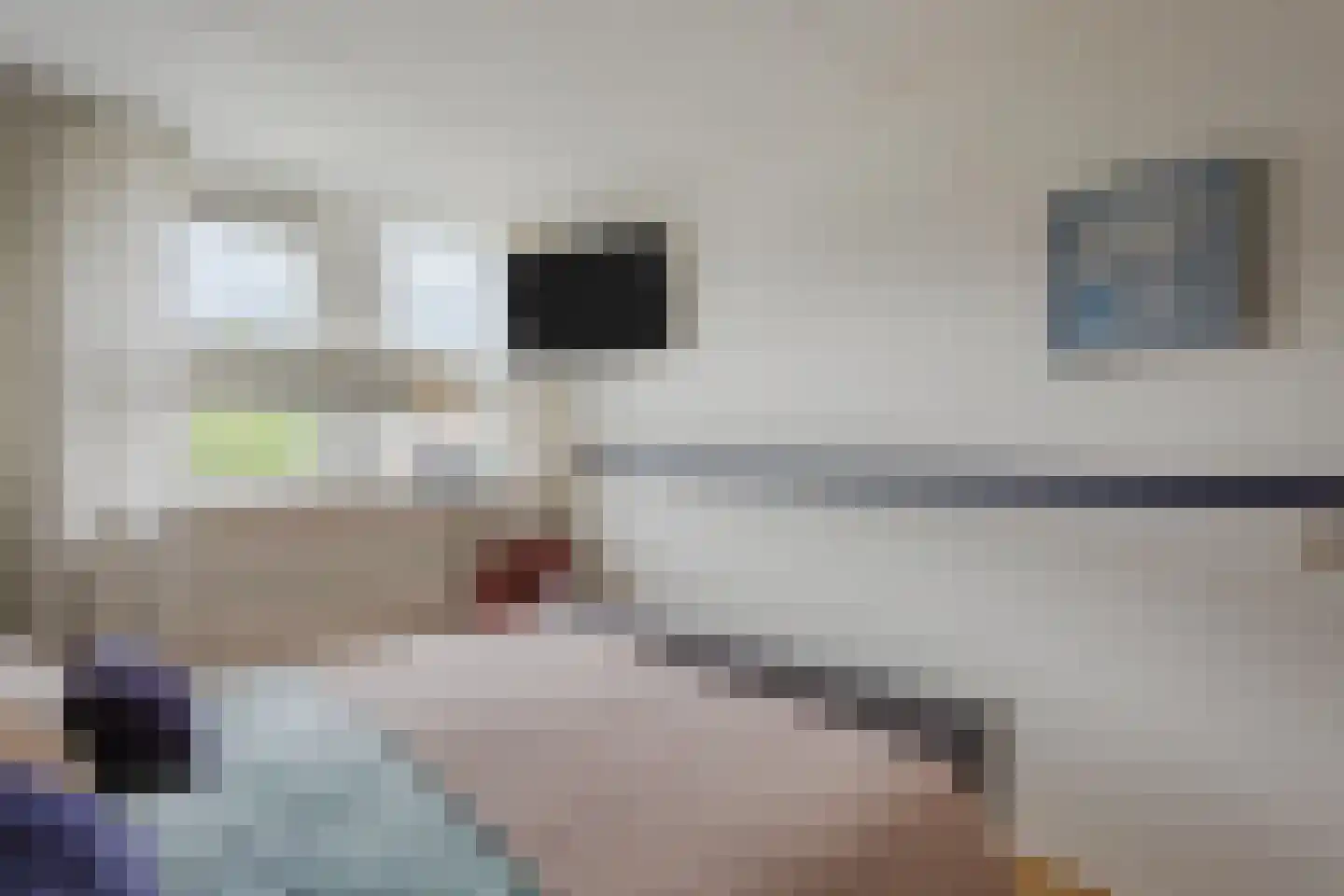 Daslook 31 Breukelen thumbnail 17
