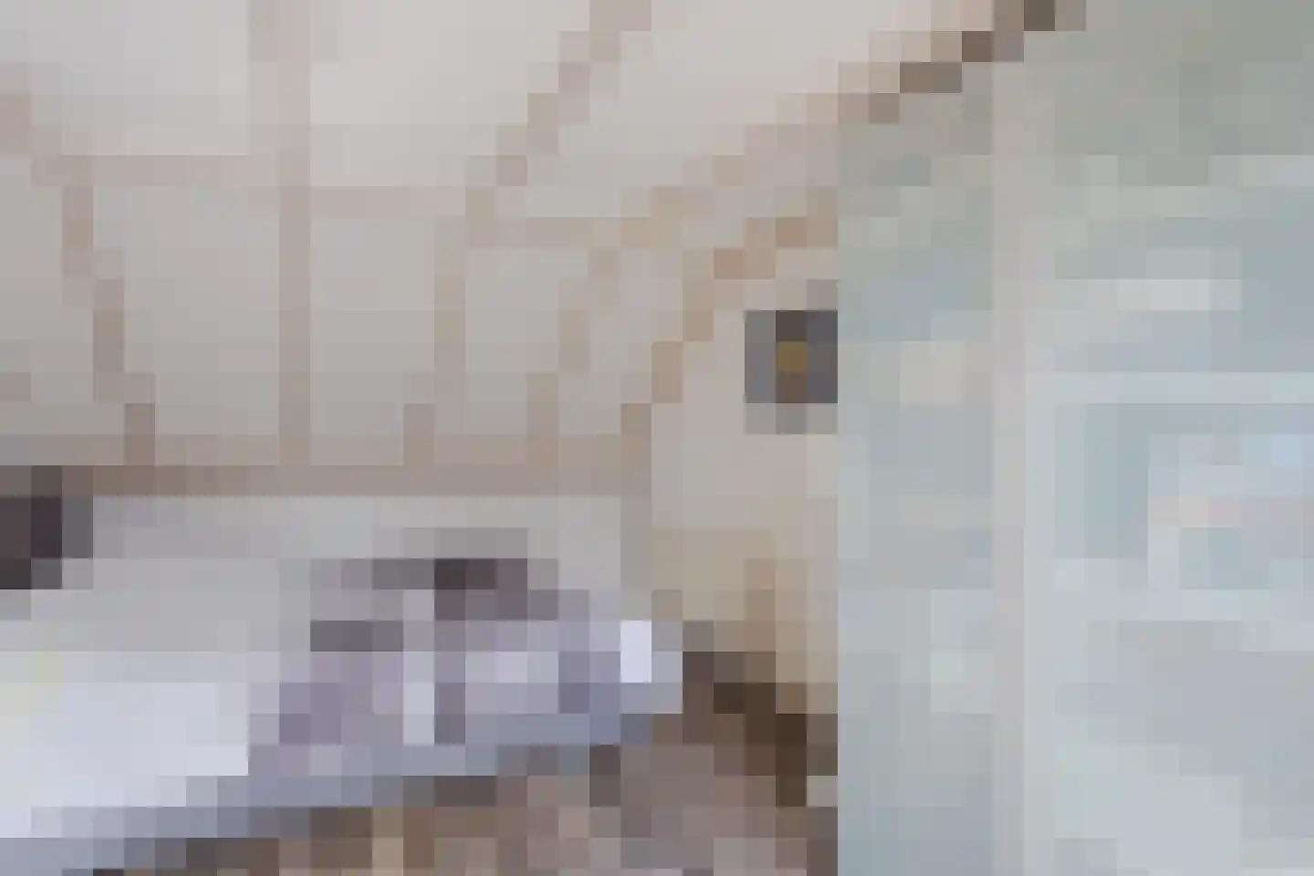 Daslook 31 Breukelen thumbnail 31