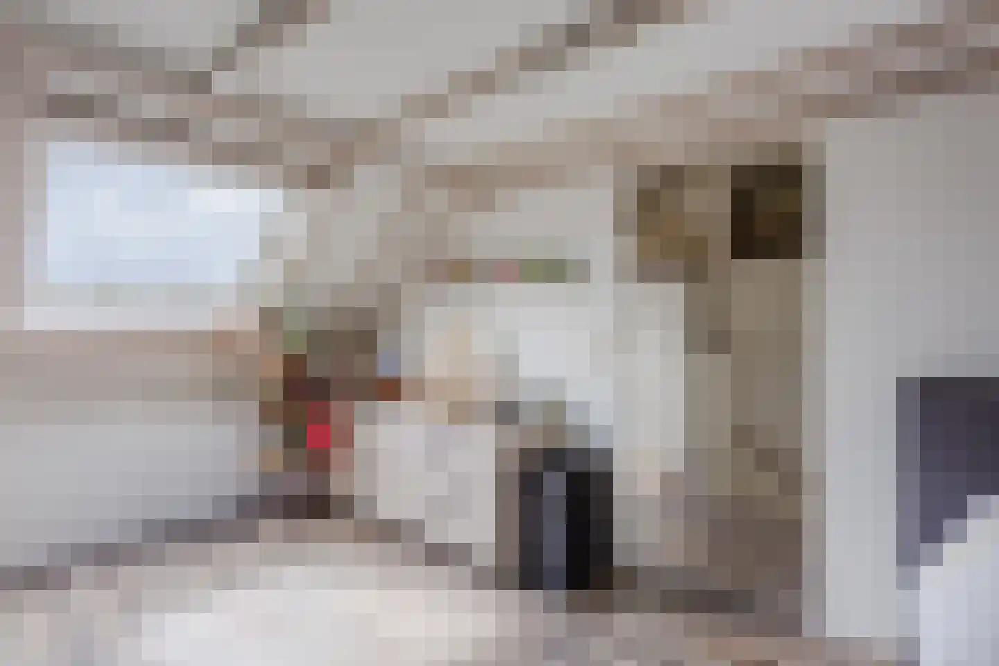 Daslook 31 Breukelen thumbnail 32