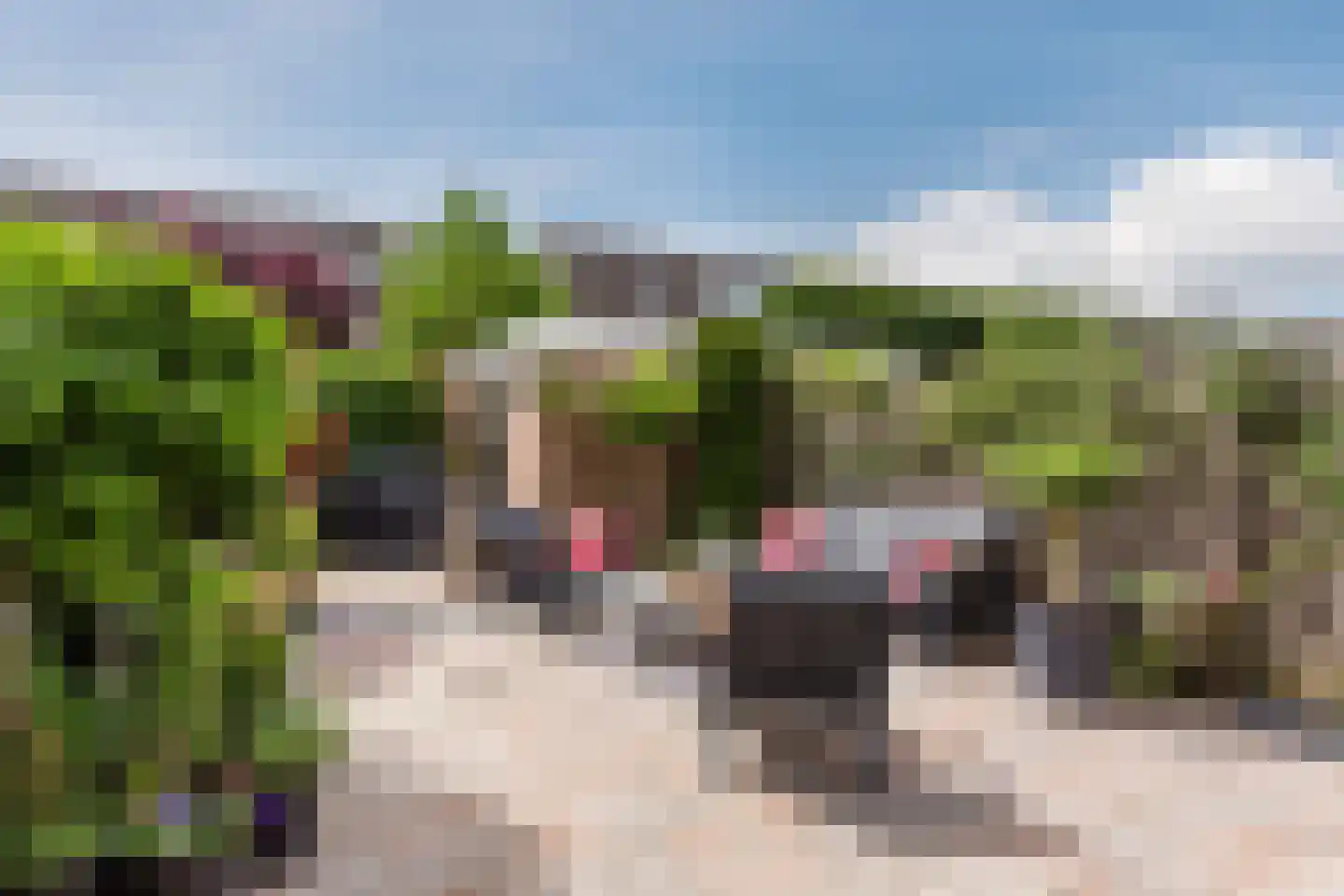 Daslook 31 Breukelen thumbnail 35