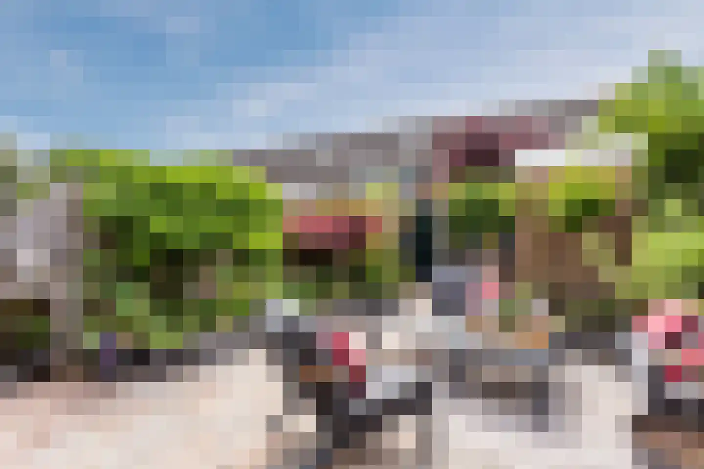 Daslook 31 Breukelen thumbnail 36